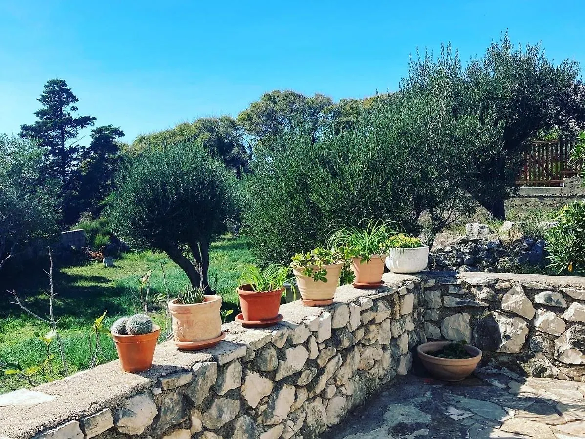 Apartment Villa Roseal Povljana Croatia