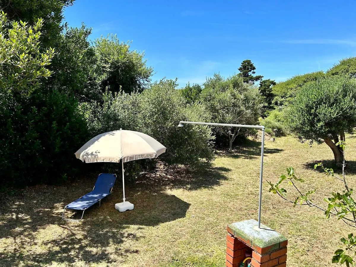 Villa Roseal Povljana Apartment