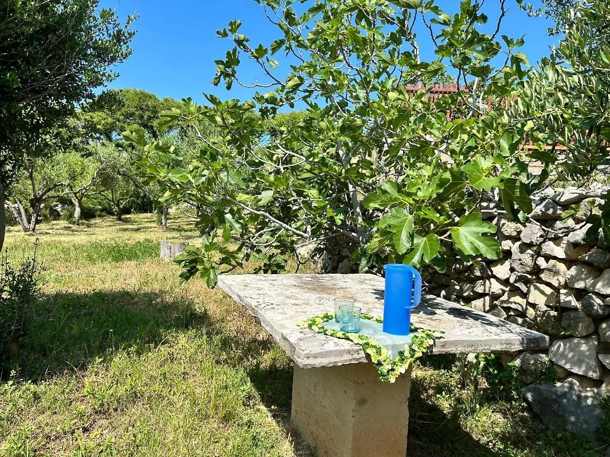Villa Roseal 포블랴나 크로아티아